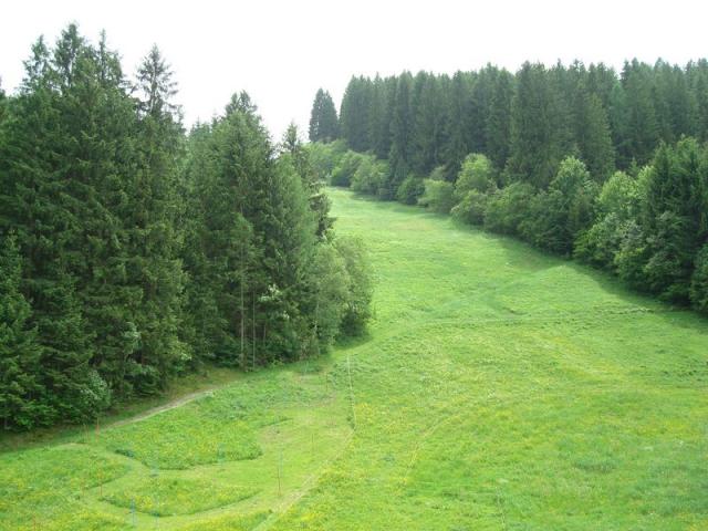 dsc03163.jpg
