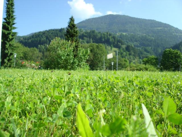 dsc03237.jpg