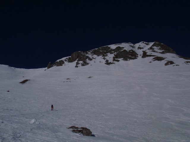 P2051896.jpg