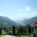 dsc03261.jpg