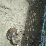 dsc03280.jpg