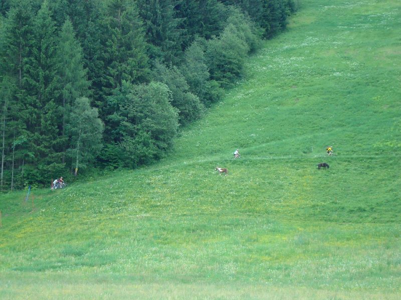 dsc03314.jpg