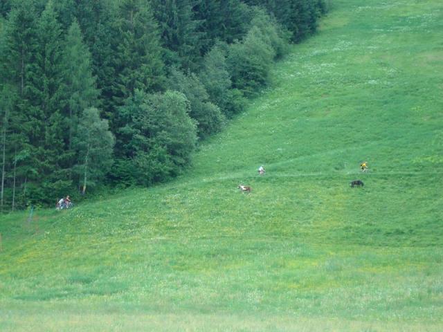 dsc03314.jpg