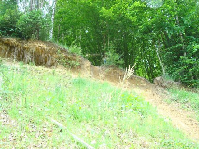 dsc03322.jpg