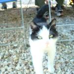 dsc03362.jpg