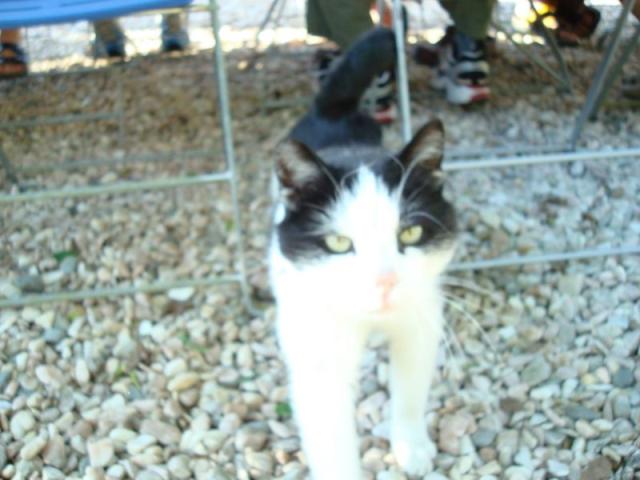 dsc03362.jpg