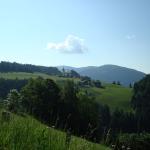 dsc03392.jpg