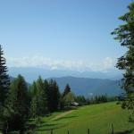 dsc03406.jpg