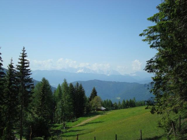 dsc03406.jpg