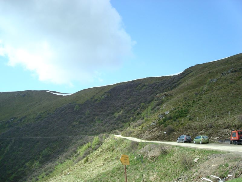 dsc03407.jpg