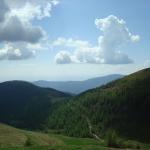 dsc03408.jpg