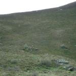 dsc03409.jpg