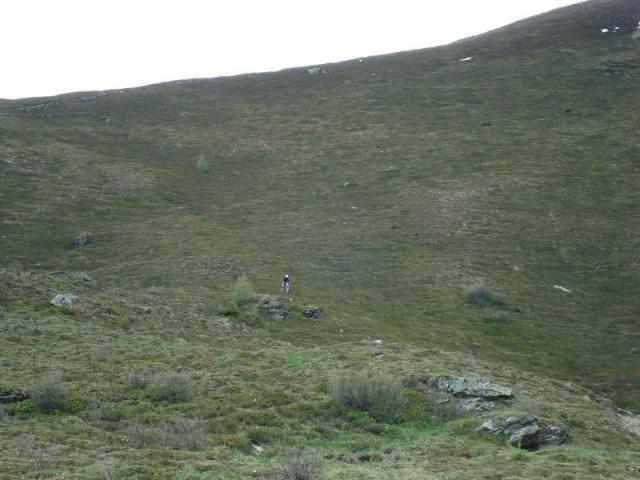 dsc03409.jpg