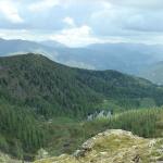 dsc03417.jpg