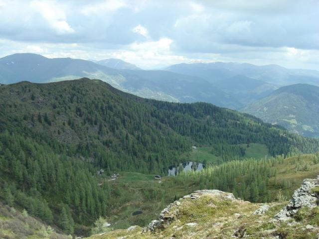 dsc03417.jpg