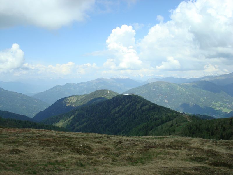 dsc03423.jpg