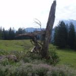 Buchsteinrunde20100818_11.JPG