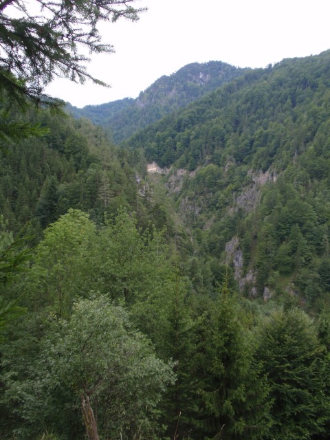 Buchsteinrunde20100818_16.JPG