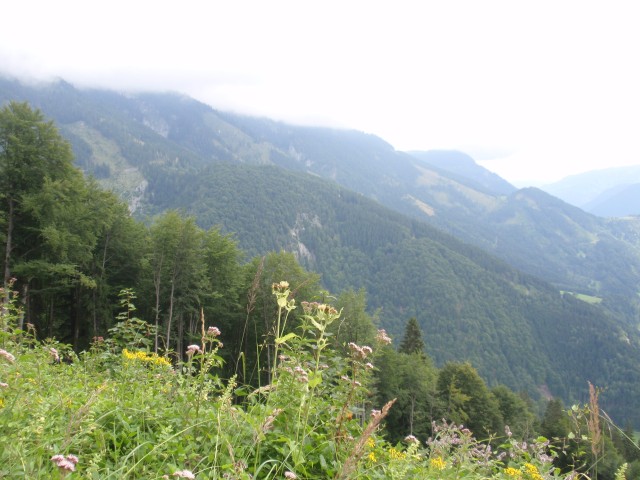 Buchsteinrunde20100819_24.JPG