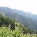 Buchsteinrunde20100819_24.JPG