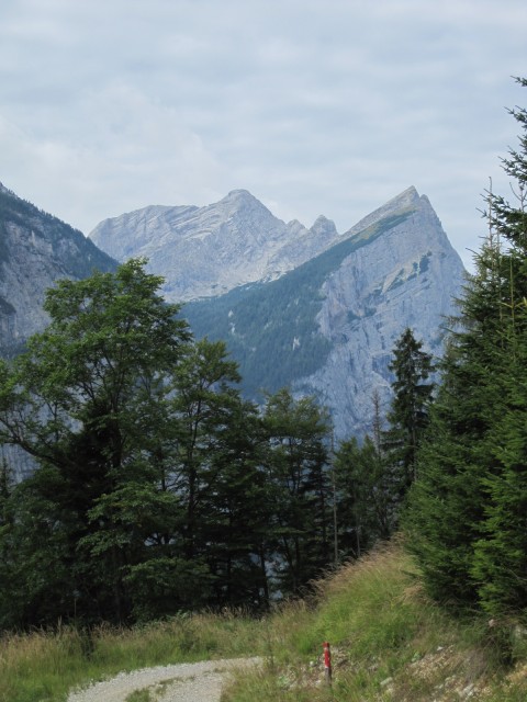 Buchsteinrunde 18.8.2010 016.JPG