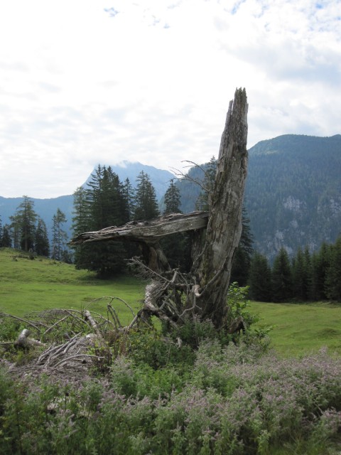 Buchsteinrunde 18.8.2010 019.JPG