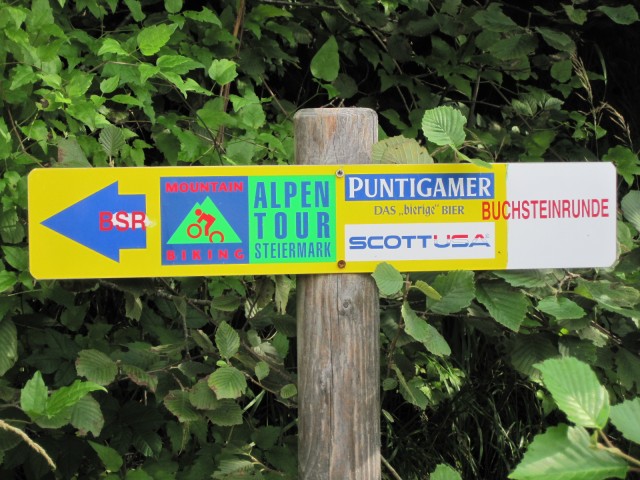 Buchsteinrunde 18.8.2010 061.JPG