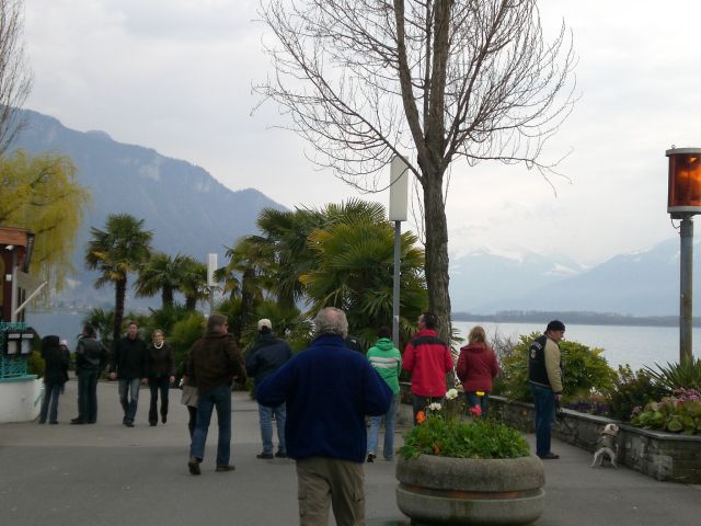 CIMG1538.JPG