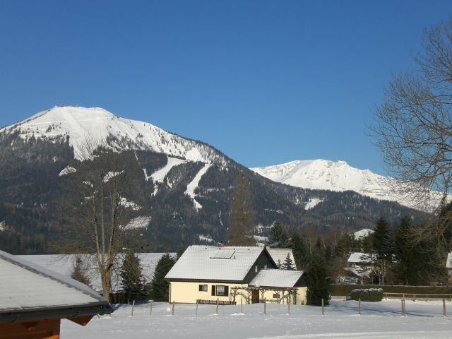 CIMG1249.JPG