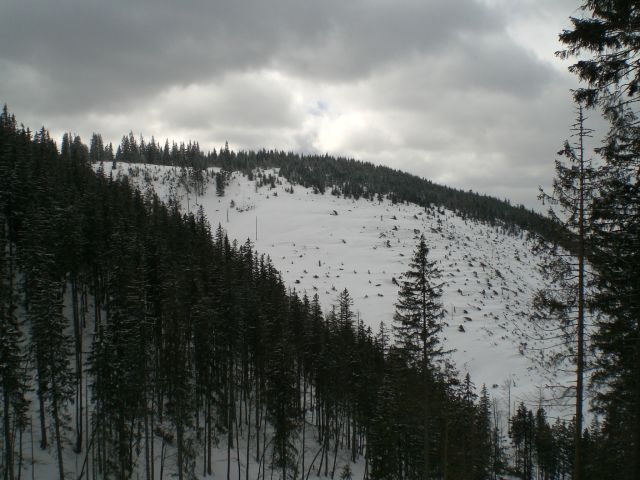 CIMG1205.JPG