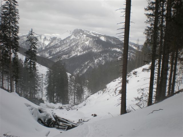 St.Hinteralpe-Spielkogel 003.jpg