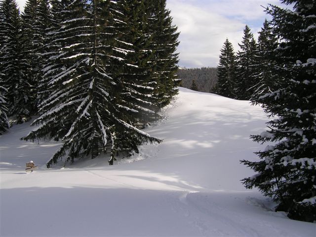 Erlaufsee-Gemeindealpe 005.jpg