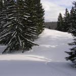 Erlaufsee-Gemeindealpe 005.jpg