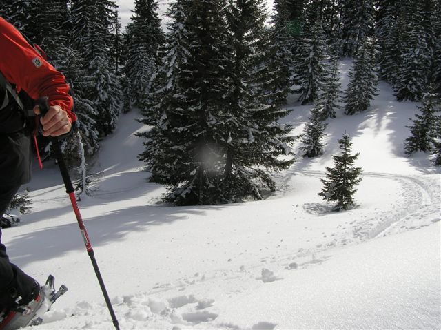 Erlaufsee-Gemeindealpe 007.jpg