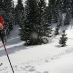 Erlaufsee-Gemeindealpe 007.jpg