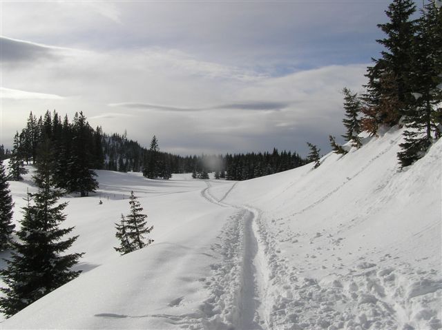 Erlaufsee-Gemeindealpe 008.jpg