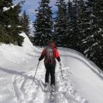 Erlaufsee-Gemeindealpe 009.jpg