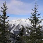 Erlaufsee-Gemeindealpe 013.jpg