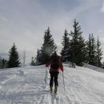 Erlaufsee-Gemeindealpe 014.jpg