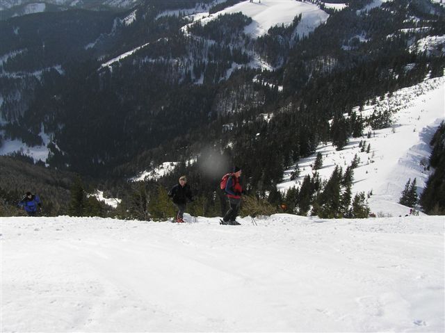 Erlaufsee-Gemeindealpe 016.jpg