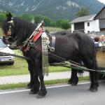 IMG_0952b.JPG