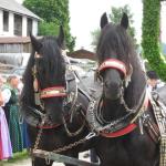 IMG_0952c.JPG