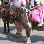 IMG_0959.JPG