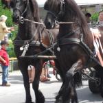 IMG_0968.JPG