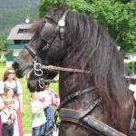 IMG_0969.JPG
