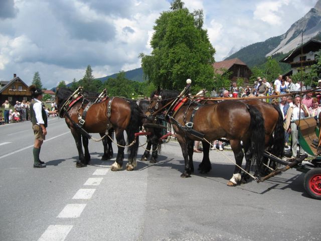 IMG_0976.JPG