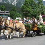 IMG_0993.JPG