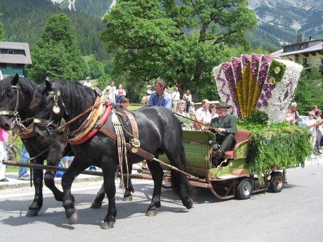IMG_1017.JPG