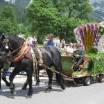 IMG_1017.JPG