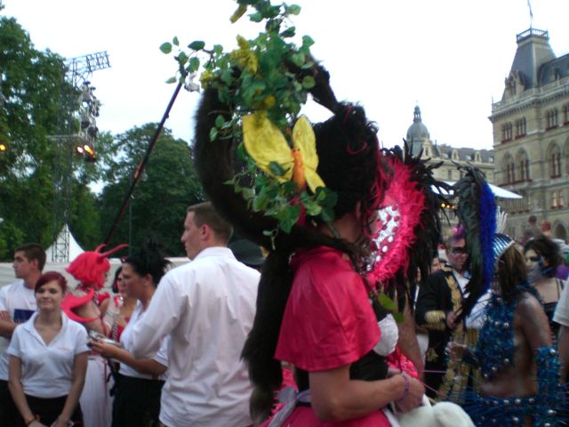 CIMG0537.JPG